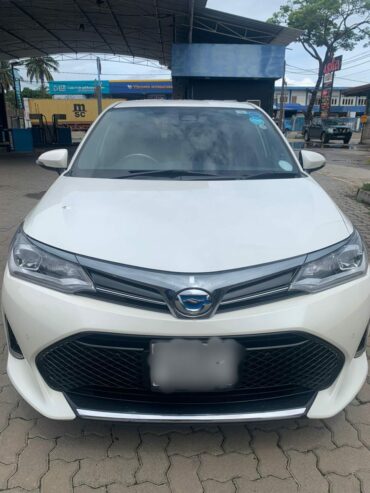 Toyota Axio for Rent