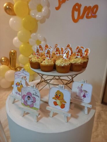 Birthday Decorations for Hire