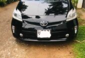 Toyota Prius Car for Rent