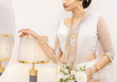 Wedding Sarees / Dresses for Rent