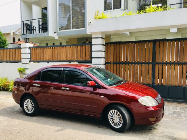 Toyota Corolla for Rent