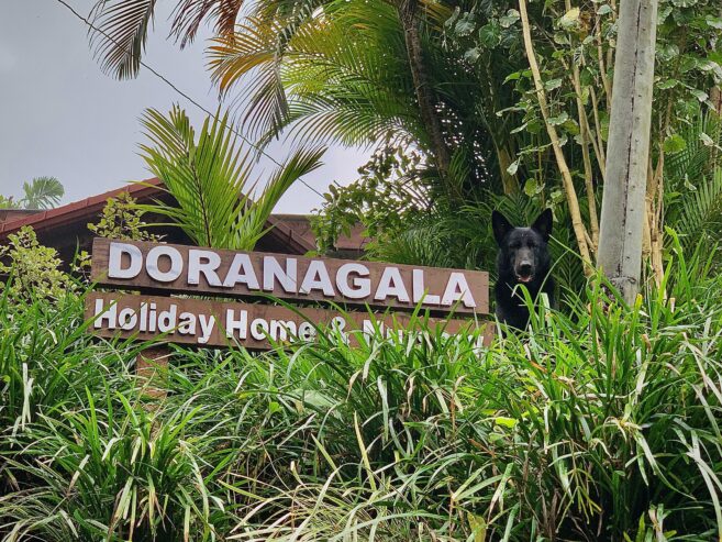 Doranagala Holiday Home – Riverston