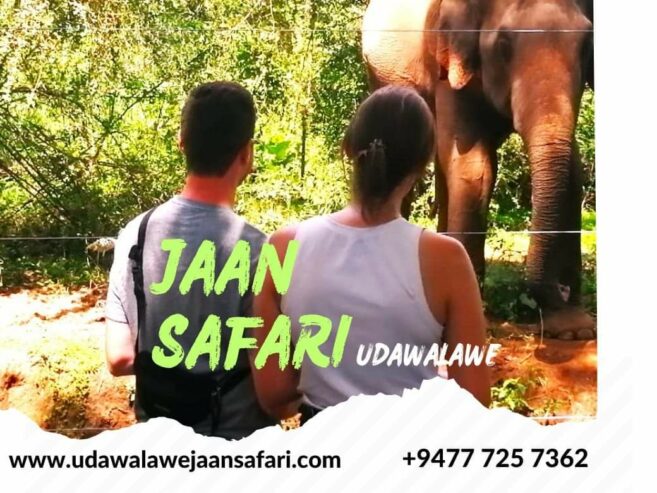 Jaan Safari – Udawalawe
