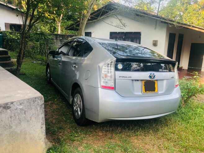 Toyota Prius for Rent