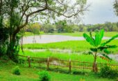 Mankada Eco Resort – Anuradhapura