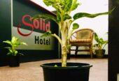 Solid Hotel- Wellawatte