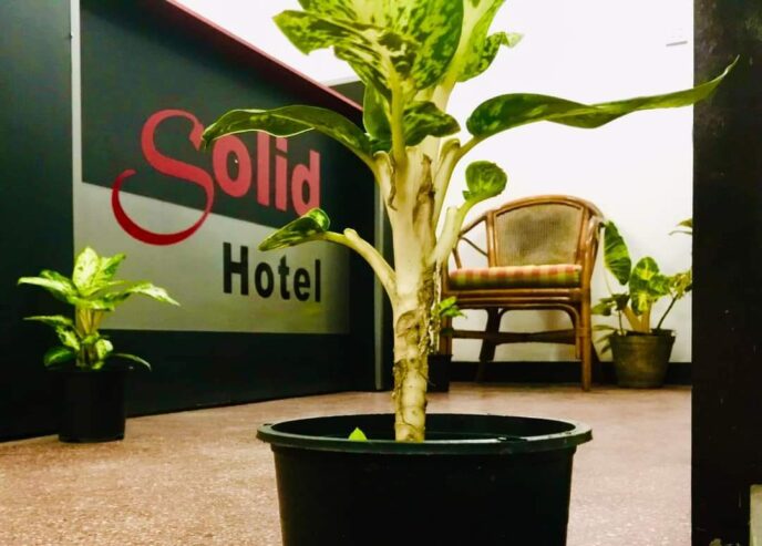 Solid Hotel- Wellawatte