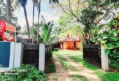 Olu Resort – Anuradhapura