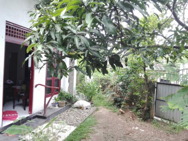 House for Rent – Hokandara South