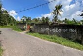 Land for Rent With Two Houses- Godagama