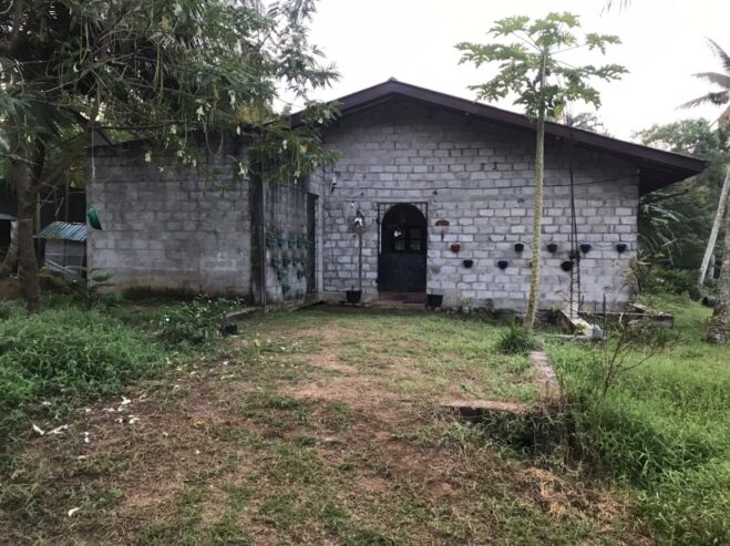 Land for Rent With Two Houses- Godagama