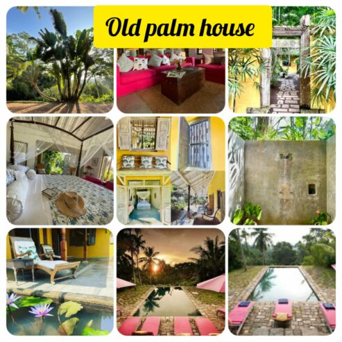 Old Palm House- Galle